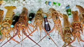 Lifestyle - Beer and Lobster – Best Places In The World To Retire – International Living